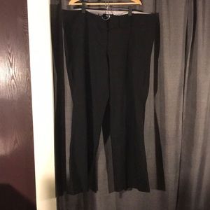 NWOT TORRID 22T BOOTCUT DRESS PANT